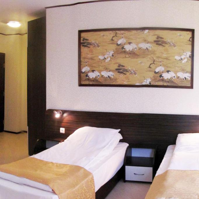 Ambaritsa Hotel Gorna Oryakhovitsa Rum bild